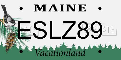 ESLZ89 Maine License Plate