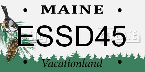 ESSD45 Maine License Plate