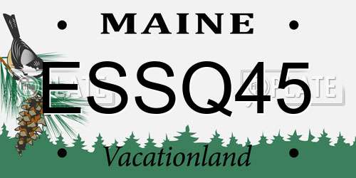 ESSQ45 Maine License Plate
