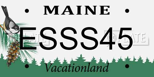ESSS45 Maine License Plate