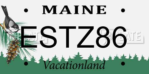 ESTZ86 Maine License Plate