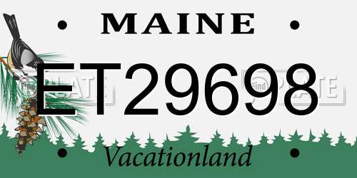 ET29698 Maine License Plate