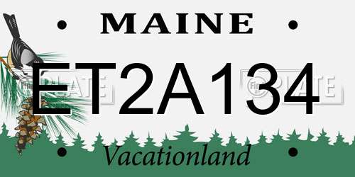 ET2A134 Maine License Plate