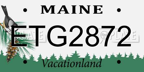 ETG2872 Maine License Plate