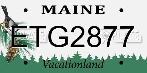ETG2877 Maine License Plate