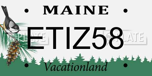 ETIZ58 Maine License Plate