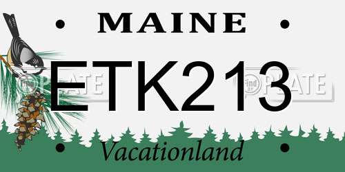 ETK213 Maine License Plate