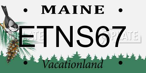 ETNS67 Maine License Plate