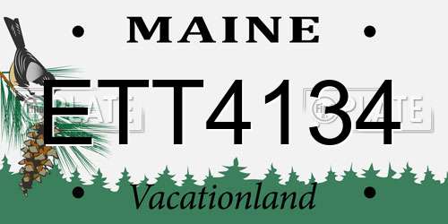 ETT4134 Maine License Plate