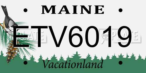 ETV6019 Maine License Plate