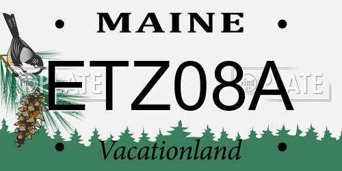 ETZ08A Maine License Plate