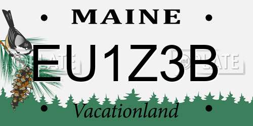 EU1Z3B Maine License Plate