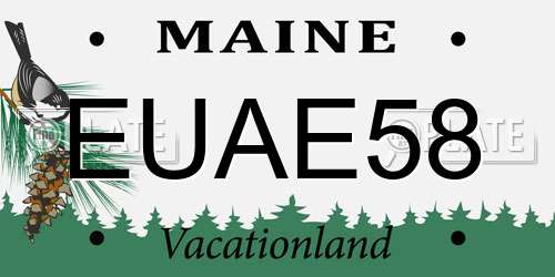 EUAE58 Maine License Plate