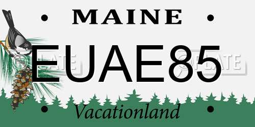 EUAE85 Maine License Plate