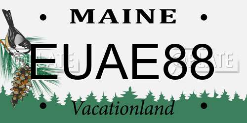 EUAE88 Maine License Plate