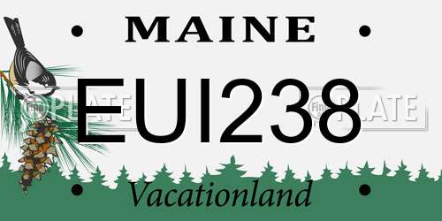 EUI238 Maine License Plate
