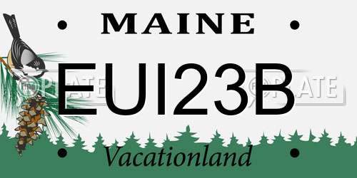 EUI23B Maine License Plate