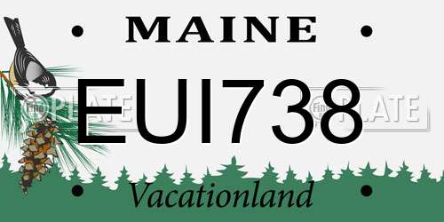 EUI738 Maine License Plate