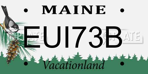 EUI73B Maine License Plate