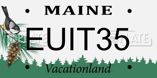 EUIT35 Maine License Plate