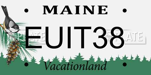 EUIT38 Maine License Plate