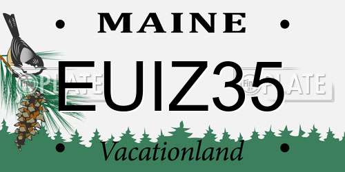 EUIZ35 Maine License Plate