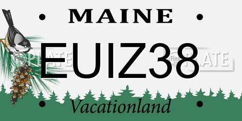 EUIZ38 Maine License Plate