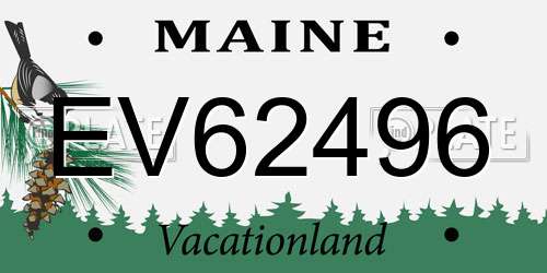 EV62496 Maine License Plate