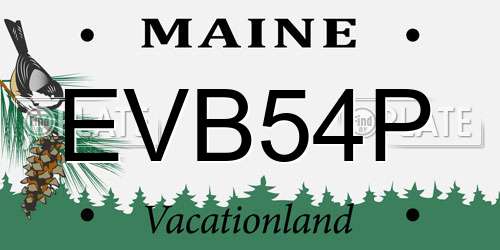 EVB54P Maine License Plate