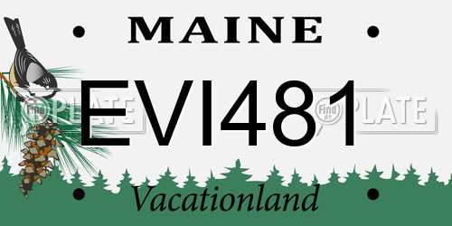 EVI481 Maine License Plate