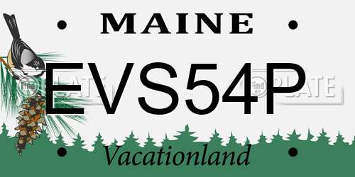 EVS54P Maine License Plate