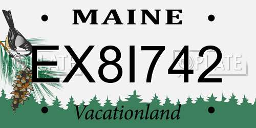 EX8I742 Maine License Plate