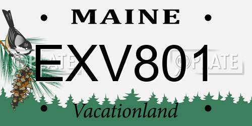 EXV801 Maine License Plate