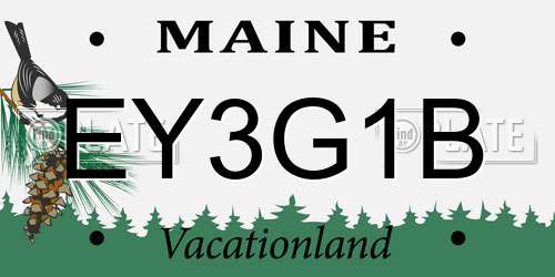 EY3G1B Maine License Plate