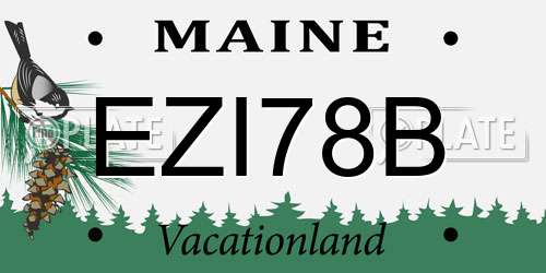 EZI78B Maine License Plate