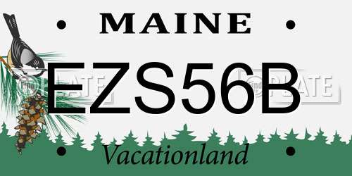 EZS56B Maine License Plate