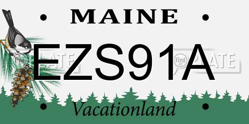 EZS91A Maine License Plate