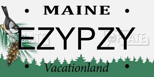 EZYPZY Maine License Plate
