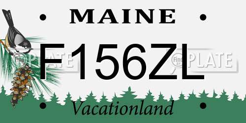 F156ZL Maine License Plate