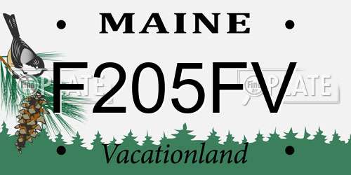 F205FV Maine License Plate