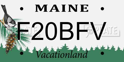 F20BFV Maine License Plate