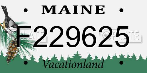 F229625 Maine License Plate
