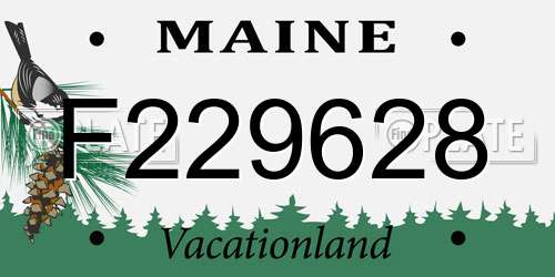 F229628 Maine License Plate