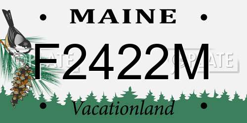 F2422M Maine License Plate