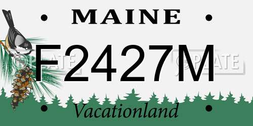 F2427M Maine License Plate