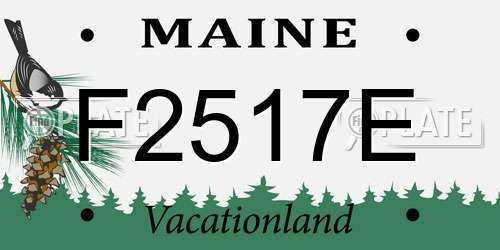 F2517E Maine License Plate