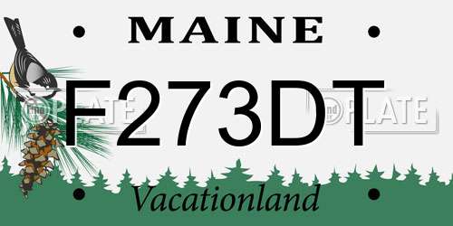 F273DT Maine License Plate