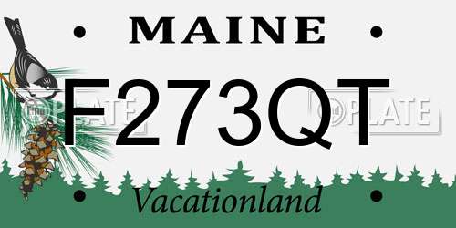 F273QT Maine License Plate