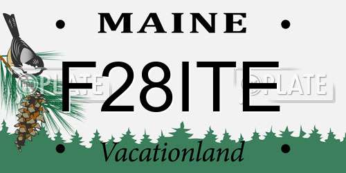 F28ITE Maine License Plate