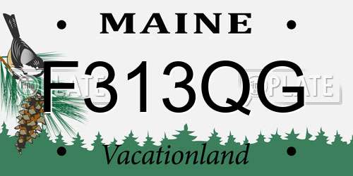 F313QG Maine License Plate